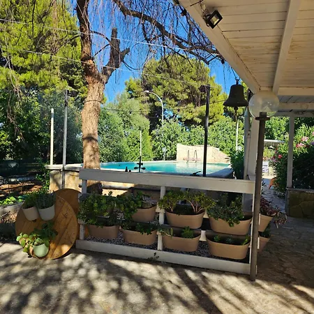 Casa *